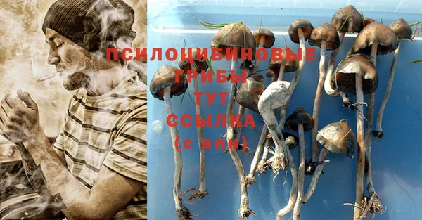скорость Чекалин