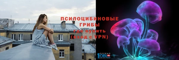 прущая мука Арсеньев